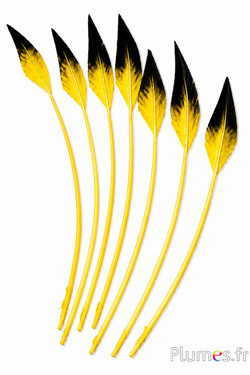 Cigno freccia - 28-33 cm - giallo-nero